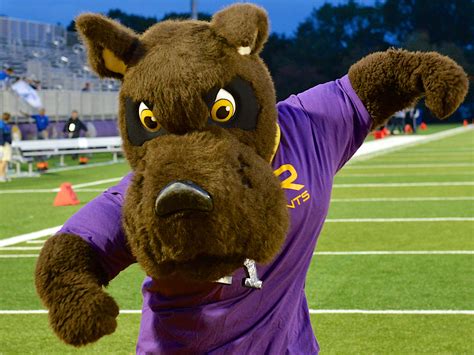 The Aurora College Mascot's Impact on Alumni Giving